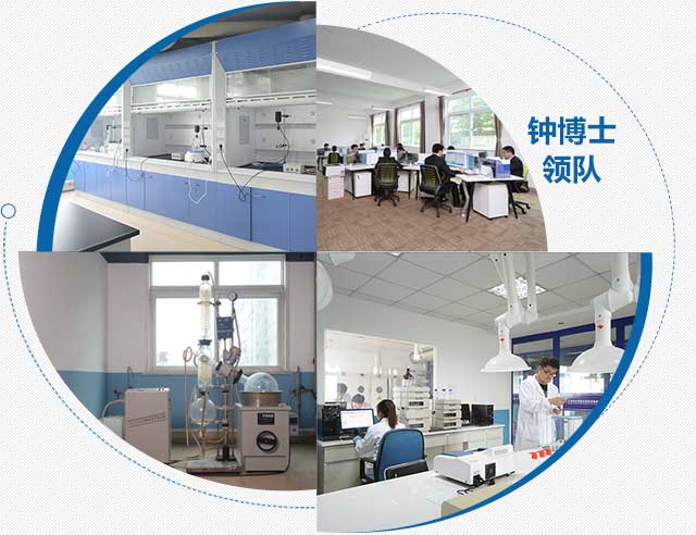 強大的研發實力